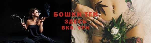 шишки Михайловск