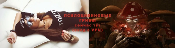 гидра Мегион