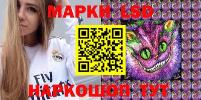 гидропоника Камышлов