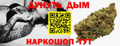гидропоника Камышлов