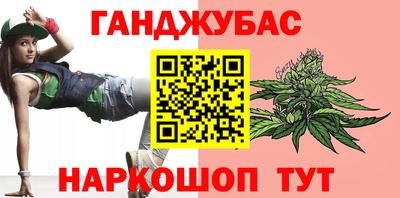 гидропоника Камышлов