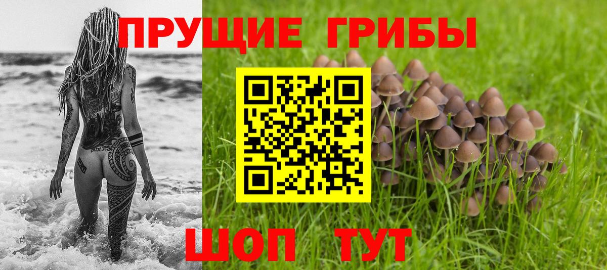 Армавир  Псилоцибиновые грибы GOLDEN TEACHER  Вход с VPN 