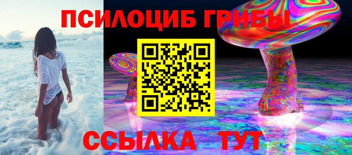 Галлюциногенные грибы Psilocybine cubensis  Псилоцибиновые грибы мухоморы  Армавир 