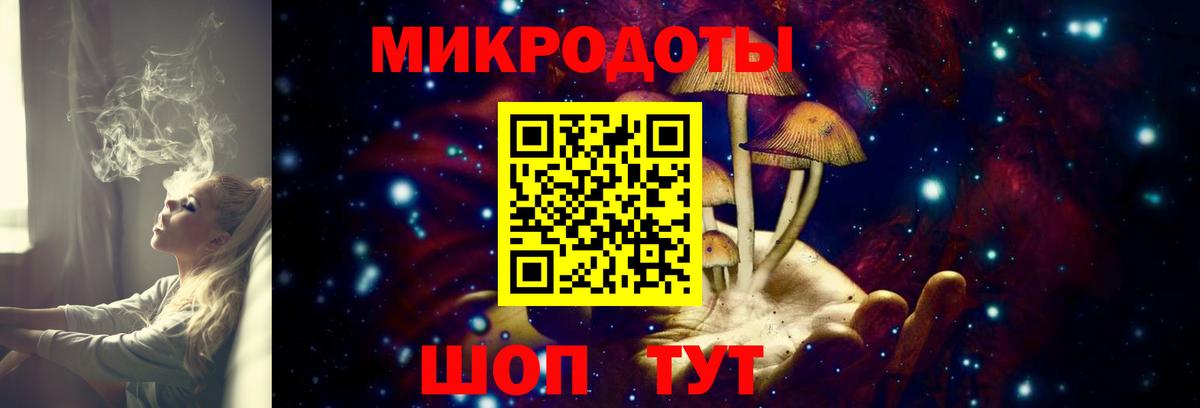 Псилоцибиновые грибы мухоморы Армавир